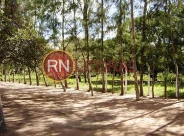 202508260721561089.jpg · Granja para Venda em Ceará-Mirim, Mangabeira, 2 dormitórios, 2 banheiros, 3 vagas