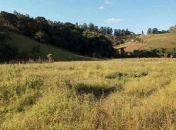 c833afd5c8d752a61624ea0fb8ad9dff31506fb3 · Terreno à venda, 24000 m² por R$ 180.000 - Bairro Lajinha - Congonhal/Minas Gerais