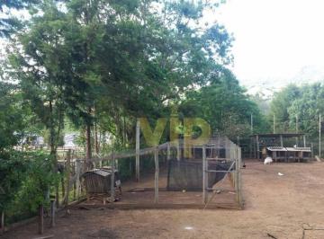 cdbef2f8a11af35ef175a9dc4b5323b8d29cf825 · Chácara com 2 dormitórios à venda, 3000 m² por R$ 350.000 - Anhumas - Pouso Alegre/Minas Gerais