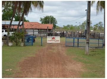 c91f97b167006d2583a4de6bc227b6c8.jpg · Fazenda com 438 hectares, com casa sede com piscina, toda estruturada