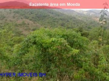 Foto 01 · ÁREA EM ÓTIMA LOCALIZAÇÃO EM MOEDA -  VIEIRA