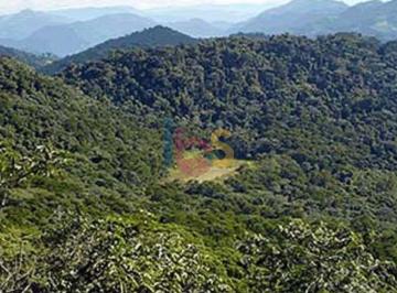 Rural · 214m² · Vendo Fazenda Rio Negro 