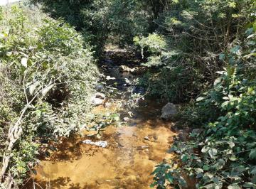 Rural , Cachoeiras de Macacu · Gandolfi Corretor de Imóveis- Sítio com 5 al em C. de Macacu, confira. Sp082