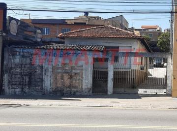 71fbfd0d4513da942776fbe136b3cbae.jpg · Terreno