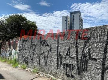 ed60d0ae9b27834185c36fef36731bdf.jpg · Terreno