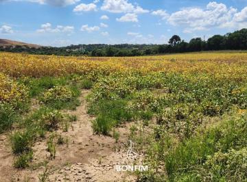 Comercial , Fazenda Rio Grande · ÁREA DE 54.800M² NA FAZENDA RIO GRANDE