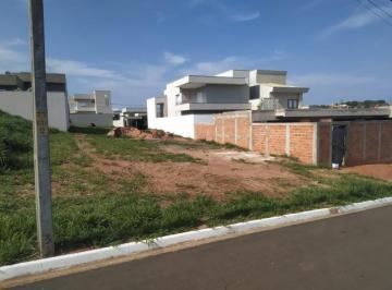 Foto 01 · Terreno, Residencial Parque Cambui, Catanduva, SP