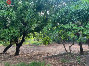 Foto 02 · Terreno, Parque Amazônia, Goiânia, GO