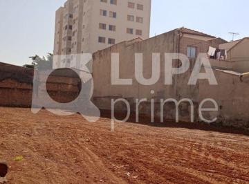 Terreno · 800m² · TERRENO RESIDENCIAL COM 800M² PARA VENDA, VILA GUILHERME, SÃO PAULO