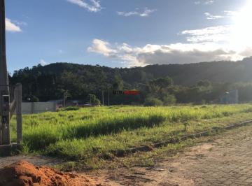 27487845_g.jpg · 
                                Terreno a venda em Três Coroas
                            