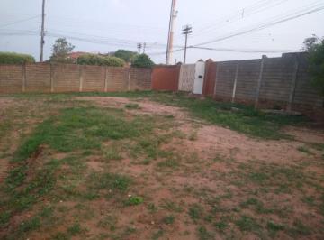 Foto 01 · Terreno, Centro, Pindorama, SP