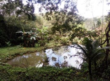 Rural , Cachoeiras de Macacu · Gandolfi C. Imóveis - Fazendinha em Aldeia velha com 2 alqueires, confira! sp073
