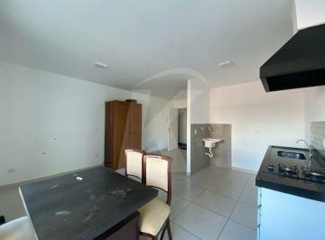 Apartamento · 29m² · 1 Quarto · Apartamento 29 m² 1 Dormitório para Locação Jd. São Paulo