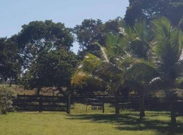 69ee3d6bec1edb17b037830e0e71931f80094213 · Sítio à venda, 450000 m² por R$ 1.000.000,00 - Zona Rural - Acorizal/MT