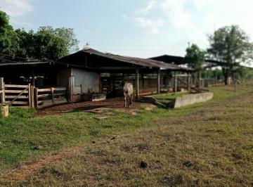 Rural · 1230000m² · 1 Quarto · Fazenda à venda no bairro Boa Esperança - Curvelo/MG