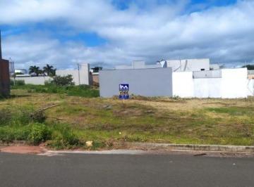 Foto 01 · Terreno - Residencial Top Life