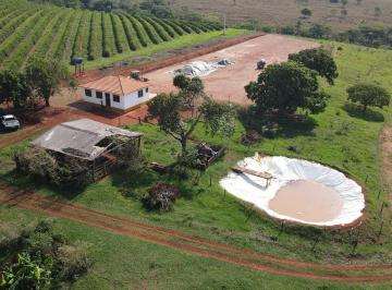 Foto 14 · FAZENDA PRÓXIMA À RODOVIA ENTRE RIO PARANAÍBA E SERRA DO SALITRE