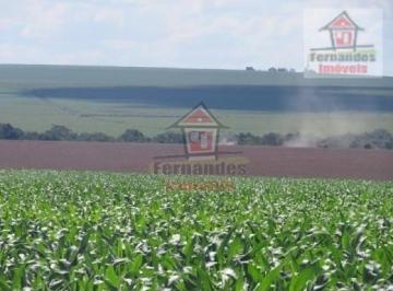 c638e1d1d9ff35e69b62d0db9ace2db43ae1a7f0 · Fazenda à venda, 2.100 HA - Dourados/MS