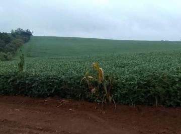 Foto 01 · EXCELENTE FAZENDA DE 49 ALQUEIRES A VENDA EM ITAPETININGA-SP, TERRA MISTA, TOPOGRAFIA LEVEMENTE ONDU
