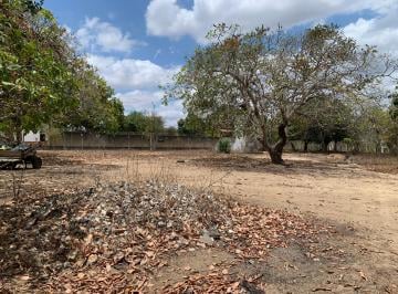 Rural de 4 quartos, Feira de Santana · Sítio 23 tarefas escriturado