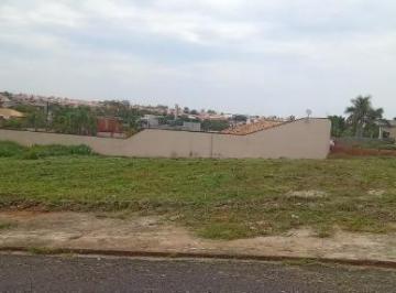 Foto 01 · Terreno - Jardim Caparroz