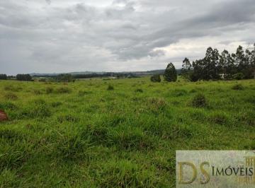 Foto 01 · EXCELENTE SÍTIO A VENDA EM ITAPETININGA-SP, COM 16,5 ALQUEIRES, FORMADA EM PASTO, BOA TOPOGRAFIA, SO
