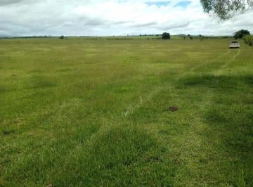 Foto 01 · Fazenda 250 Alqueires Área para Plantio de aproximadamente 240 Alqueires   Excelente Aproveitamento 
