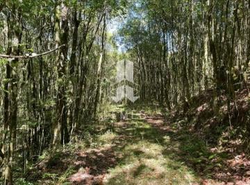 Rural · 30000m² ·
3 HECTARES NOS CAMINHOS DE PEDRA!
Região histórica e um roteiro turístico, pou