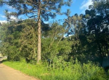 Foto 01 · Terreno, Linha Brasil, Nova Petrópolis, RS