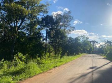 Foto 01 · Terreno, Linha Brasil, Nova Petrópolis, RS