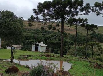 Foto 01 · Terreno, Fazenda Monte Alegre, São Joaquim, SC