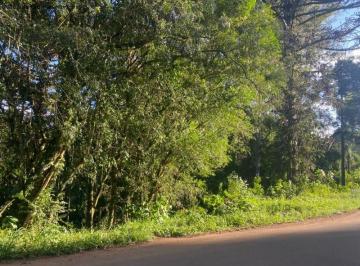 Foto 01 · Terreno, Linha Brasil, Nova Petrópolis, RS