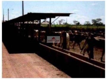 7d0175dd69cf4fc6414b9fd09b109681.jpg · Fazenda com 38.000 hectares, com 53% formada com vários tipos de capim
