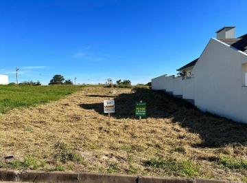 445933_i596K41_44593365259b8d1b846.jpg · Terreno à venda - em Pareci Novo