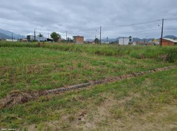20231226164240273897.jpg · Terreno para Venda em Peruíbe, Santa Isabel