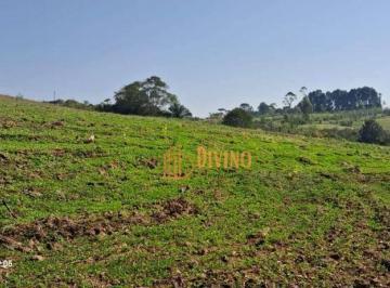 a13eb6e94abbb0ca8adfc89f56f7dfdb6b1369b4 · Sítio com 3 dormitórios à venda, 72600 m² por R$ 830.000 -  São Miguel Arcanjo/SP