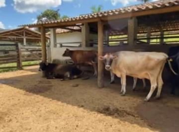i06HI39cU_232360f06620ec83e_o.jpg · Fazenda / Sítios / Chácaras com 4 quartos à venda em Entre Rios De Minas, no bairro Coqueiros
