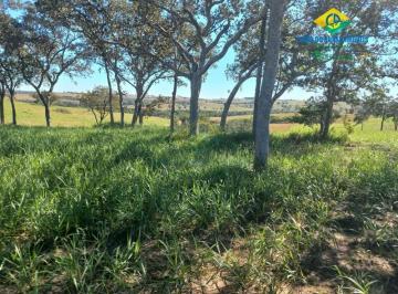 Foto 01 · Fazenda 1000 hectares terra de furna - Camapuã, MS, Brasil