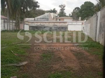 Terreno · 1650m² · TERRENO À VENDA COM 1650M² NO ALTO DA BOA VISTA.