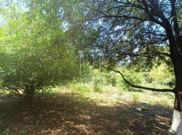 Terreno/Lote · Terreno (terreno normal)