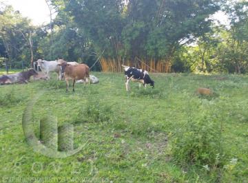 2023112317504275287.jpg · Sítio para Venda em Ipeúna, zona rural, 3 dormitórios, 1 banheiro, 1 vaga