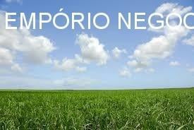 FOTO ILUSTRATIVA · Sítio venda. Empório Negócios vende sítio cana na região de Ribeirão Preto.