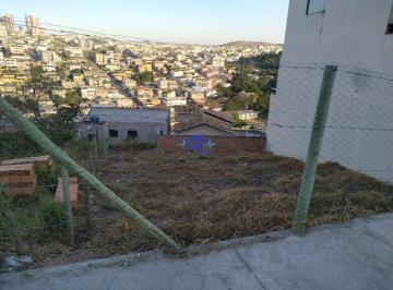imovel_4611_28267.jpg · Lote com suave declive tendo 310 metros quadrados ao todo sendo 10 metros de frente.