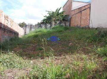 imovel_4595_28184.jpg · Lote plano em rua tranquila com um total de 250 metros quadrados sendo 10 metros de frente.