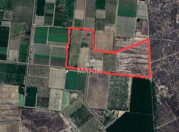 Rural , Gravatá · Fazenda de uva em Petrolina/PE com 19 Hectares!