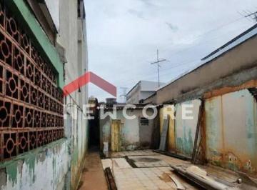 Terreno · 125m² · Lote em Rua Nelly Pellegrino - Nova Gerty - São Caetano do Sul/SP