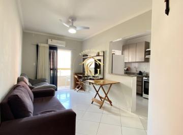 Apartamento · 50m² · 1 Quarto · 1 Vaga · Apartamento A Venda 1 Quarto Sacada Vista Livre SemiMobiliado Tupi Praia Grande