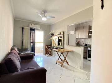 Apartamento · 50m² · 1 Quarto · 1 Vaga · Apartamento A Venda 1 Quarto Sacada Vista Livre SemiMobiliado Tupi Praia Grande