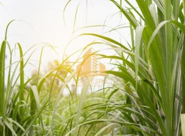 Rural · 3150000m² · Rurais à venda - em Uberlândia