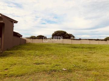 terreno-596m2-no-quinta-do-golfe-jardins-excelente-localizacao-1531208030.jpeg · Terreno 596m2 a venda no Quinta do Golfe Jardins - Rio Preto